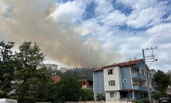 Kocaeli'de Orman Yangını!