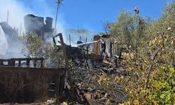 Bursa'da bağ evi kül oldu