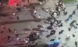 Yüksekova'da sopalı kavga
