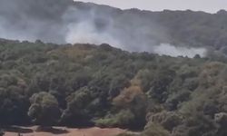 İstanbul'da orman yangını