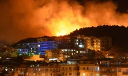 İzmir'de ot yangını çıktı