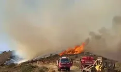 İzmir'de orman yangını çıktı