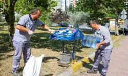 Küçükçekmece Belediyesi'nden hayvan dostu destek