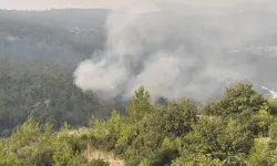 Mersin'de orman yangınları devam ediyor