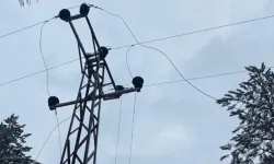 Elektrik akımına kapalan işçi direkten düştü