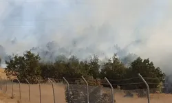 Şırnak'ta örtü yangını çıktı