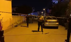 Kına gecesinde halay kavgası