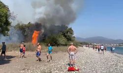 Muğla Fethiye'de orman yangını