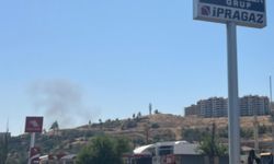 Mamak'ta Otluk Alanda Yangın Paniği!