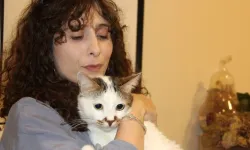 Sivas’ta Depresyona Giren Kedi Antidepresanla Tedavi Edildi