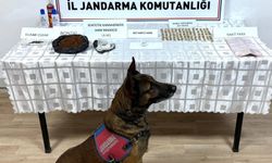 Kayseri’de Tarihi Sikke Operasyonu
