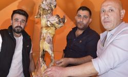 AFAD'dan Erek ve Süphan dağlarına zirve tırmanışı