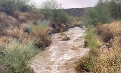 Arizona eyaletinde sel oldu: 4 ölü