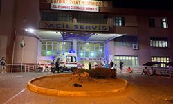 Aydın’da, baba ile kızını tabancayla vurdu