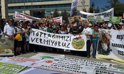 AYM'ye 'zeytin-maden yasası' başvurusu yapıldı!
