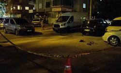 Düğünde kavga geçti!