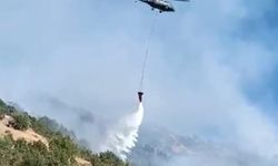 Hakkari'de çıkan orman yangını kontrol altında!