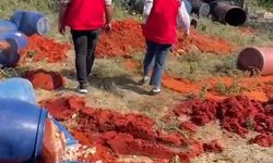 Hatay'da salça denetimi!