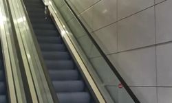 Havalimanında kedinin yürüyen merdivenle imtihanı