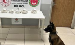 İran plakalı TIR'da uyuşturucu ele geçirildi