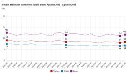 "İşsizlik oranı ağustosta yüzde 8,5 oldu"