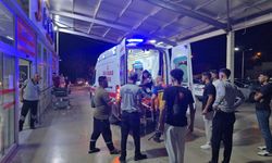 Kozan’da Otomobil Mobilya Mağazasına Daldı