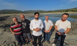 Kuraklık nedeniyle Çınarlı Göleti'nde balık ölümleri arttı!