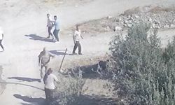 Kuzenlerin arasında kavga çıktı