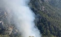 Muğla Yanıyor!
