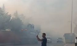 Otluk alanda çıkan yangın çıktı!