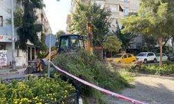 Otomobilin üzerine ağaç devrildi