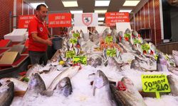 Samsun'da ilk balıklar tezgaha çıktı!