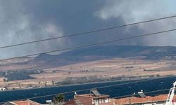 Tarım arazisindeki yangın ormana sıçradı