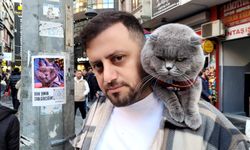 Trabzonsporlu fanatik kedi Tom'a maç vizesi