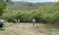 Traktörden düşüp teker ile ağaç arasına sıkışan sürücü öldü