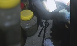 Van'da uyuşturucu operasyonu