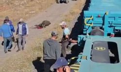 Yük treni büyükbaş sürüsüne çarptı!