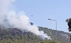 Antalya'da orman yangını