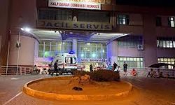 Baba ile kızını tabancayla vurdu