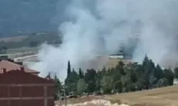Bursa'da anız yangını çıktı