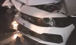 Edirne'de panikleten kaza