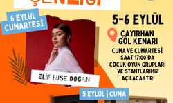 Nallıhan'da sonbahar şenliği