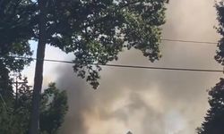 Michigan’da kiliseye silahlı saldırı: Çok sayıda yaralı var