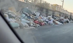 İzmir'de Çöp Sorunu Büyüyor: Hatboyu Caddesi'nde Atık Dağları!