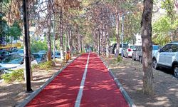 ÇANKAYA ŞİMŞEK CADDESİ’Nİ SİVRİSİNEKLER BASTI