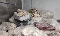 Ankara’da 17 Ton Bozuk Et Ele Geçirildi: 3 İş Yerine Baskın!