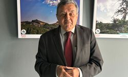 “Türkiye Bal Üretiminde İkinci, Ama Kayıplarda da Zirvede”