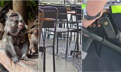 Ekim Ayının En Tuhaf Olayları