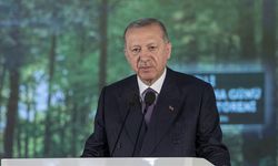 Erdoğan: Yeşil Vatan Seferberliği başlatıyoruz