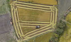 Hazine Faiz Destekli Tarım Kredilerinde 24 Ekim Düzenlemesi İptal Edildi